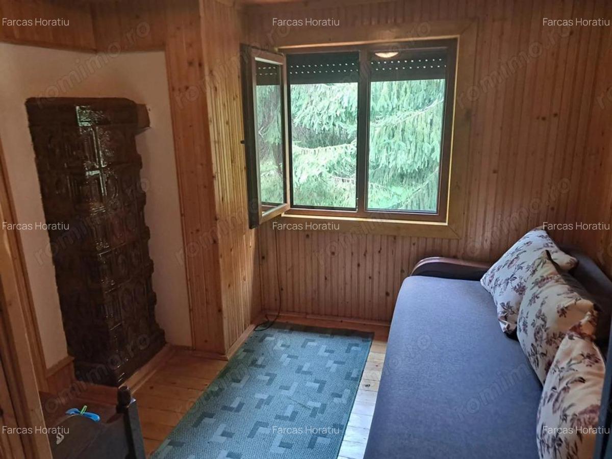 Cabana in mijlocul naturii, de vanzare, zona Lunca Bradului - Salard - 3