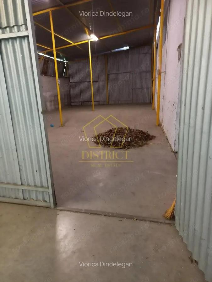 Spatiu Comercial tip Hala I Zona Lipovei - 10