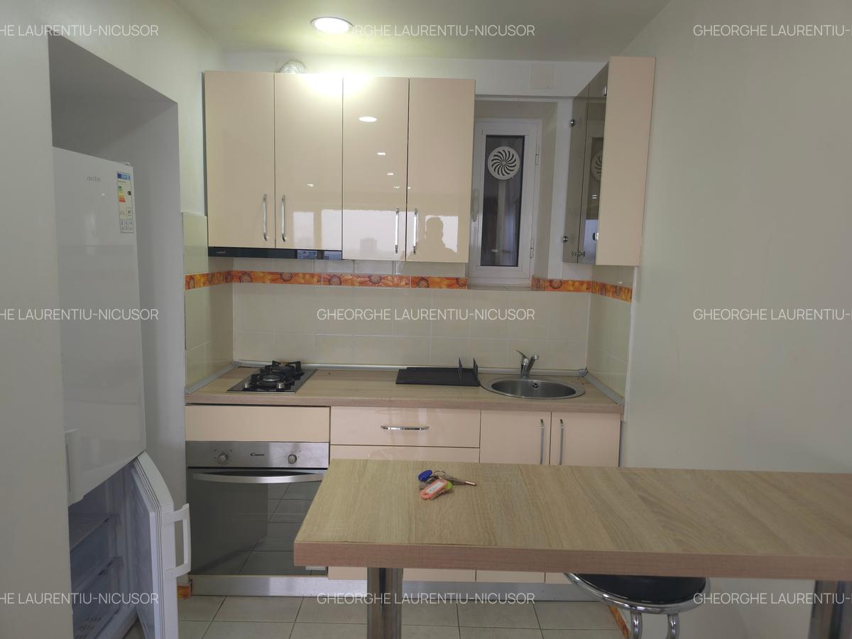 Apartament 3 camere Sala Palatului - 4