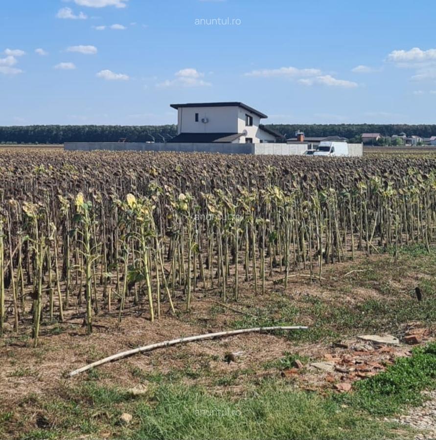 Magurele, Ilfov, depozit Urgent Cargus - 2 Magurele, Ilfov, depozit Urgent Cargus - 2