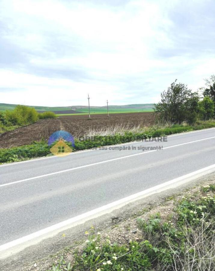 TEREN intravilan PIATRA NEAMT strada Izvoare - 1