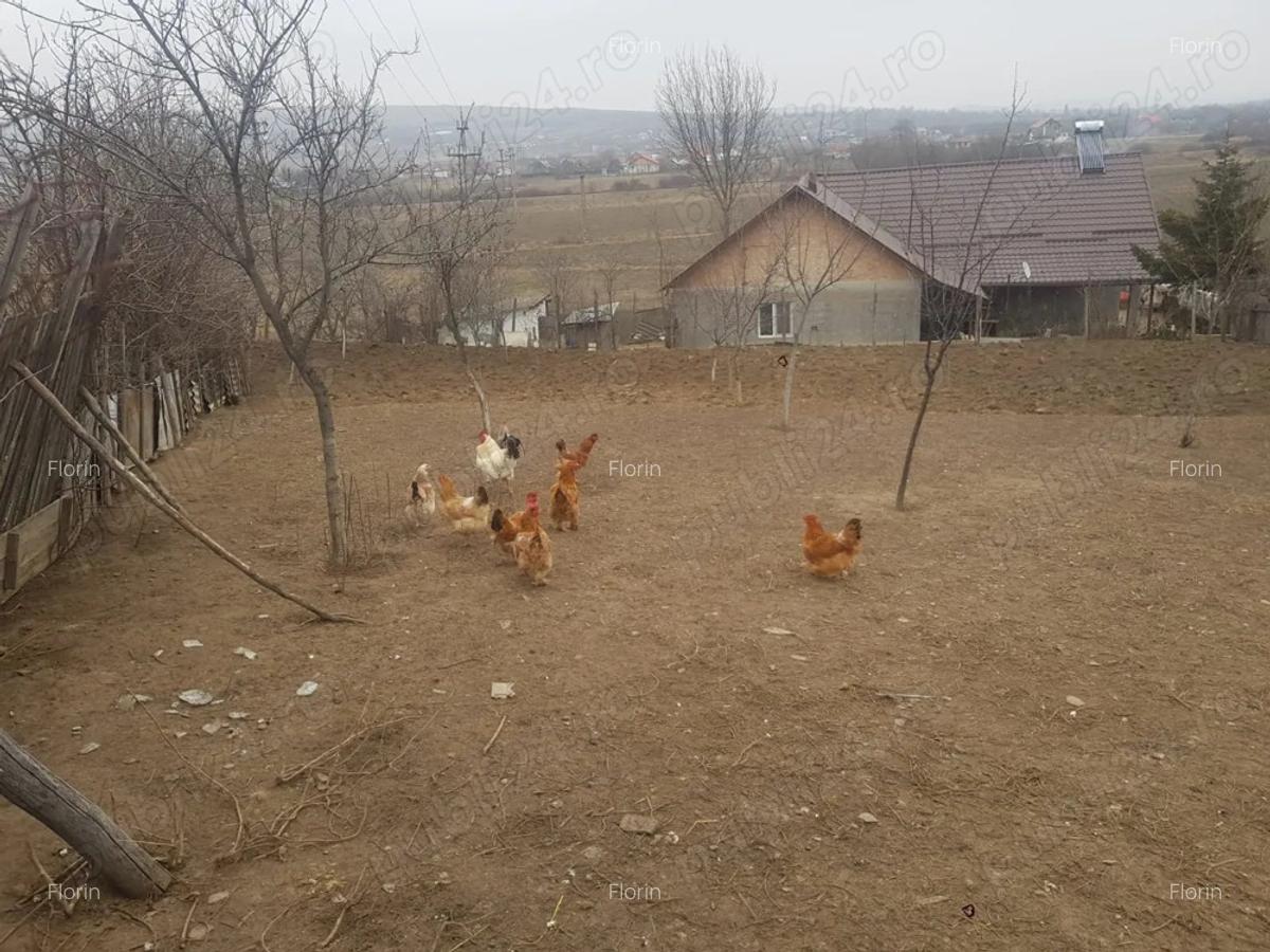 Vand casa in sat Bace?ti, comuna Bace?ti, jude?ul Vaslui - 8