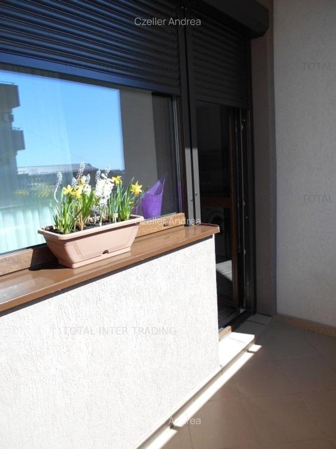 Inchiriere garsoniera Dr Taberei -Prel Ghencea-Sunrise,3/5,CT,AC,parcare,350€ - 17