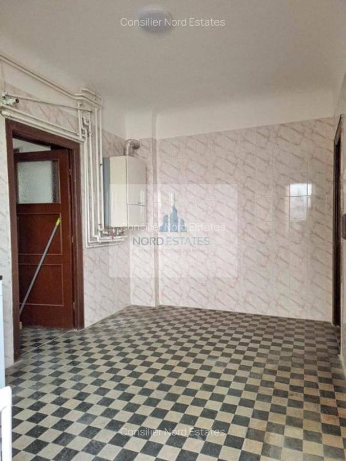 Piata 1 Mai, parcul Kiseleff, ambasade, vila interbelica - 3