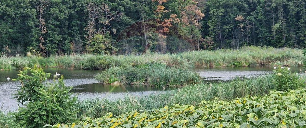DE VANZARE Teren agricol 4500mp Moara Vlasiei - 1