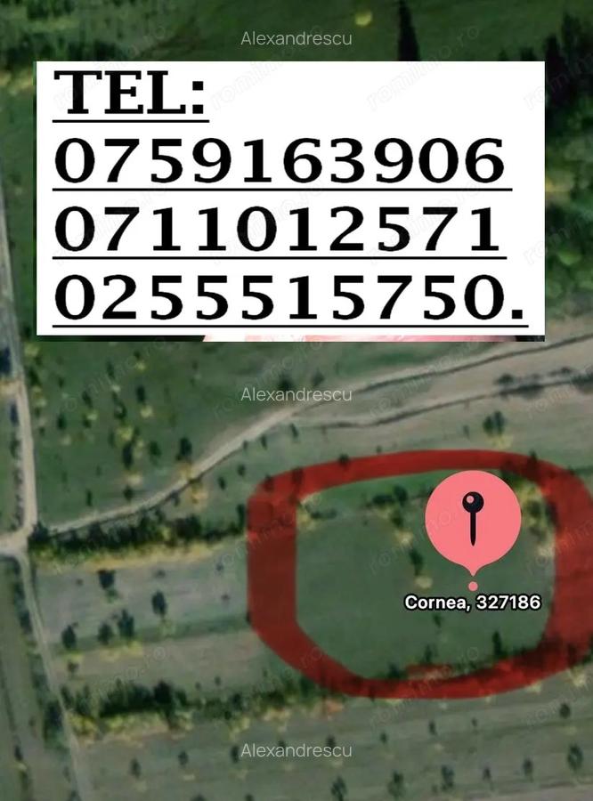 La Munte Proprietate compusa din o Casuta de 11Mo si 2 Terenuri insumand 11000 MP. - 4