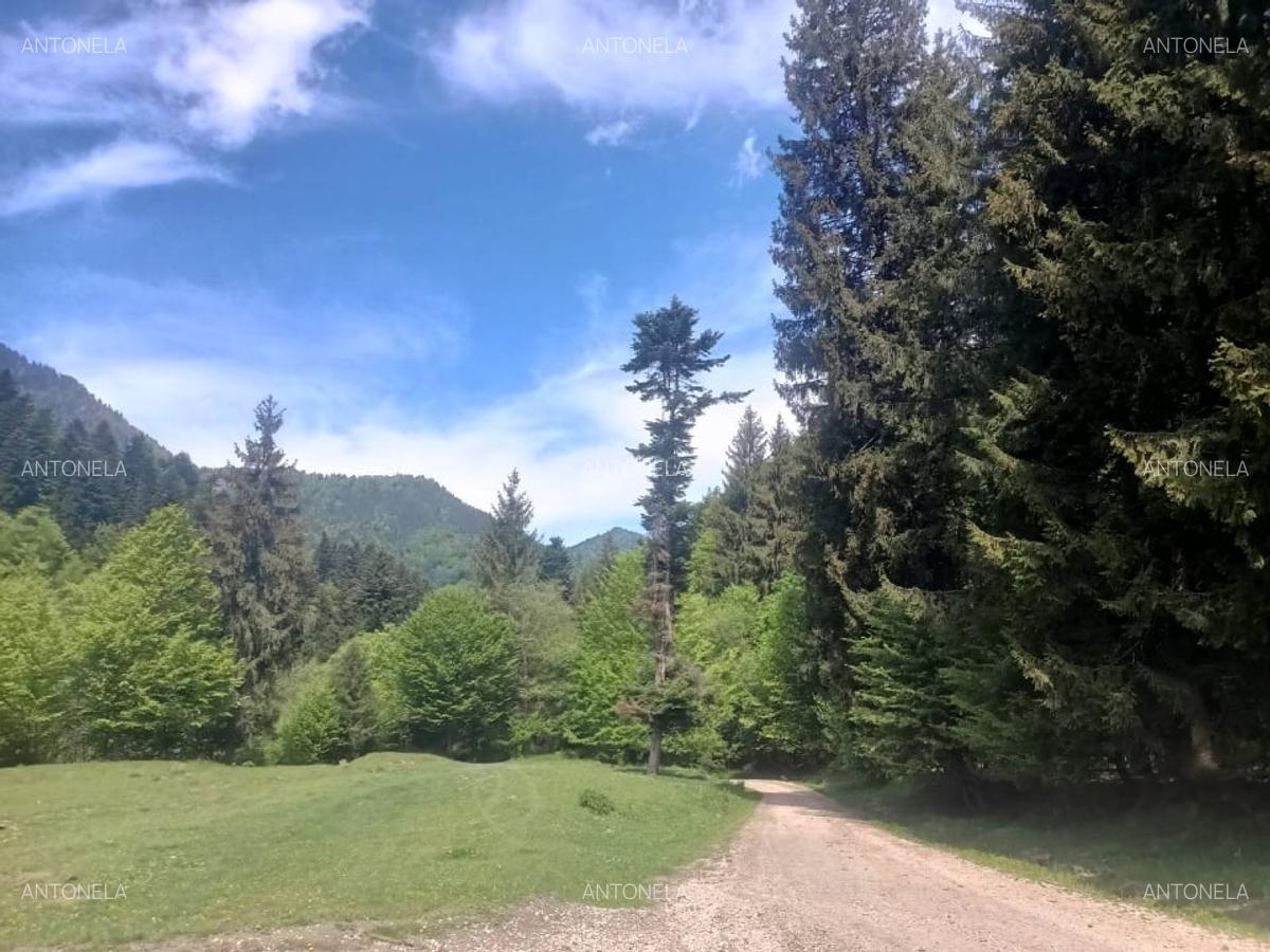 Vnd teren la munte, zona foarte frumoasă - 9