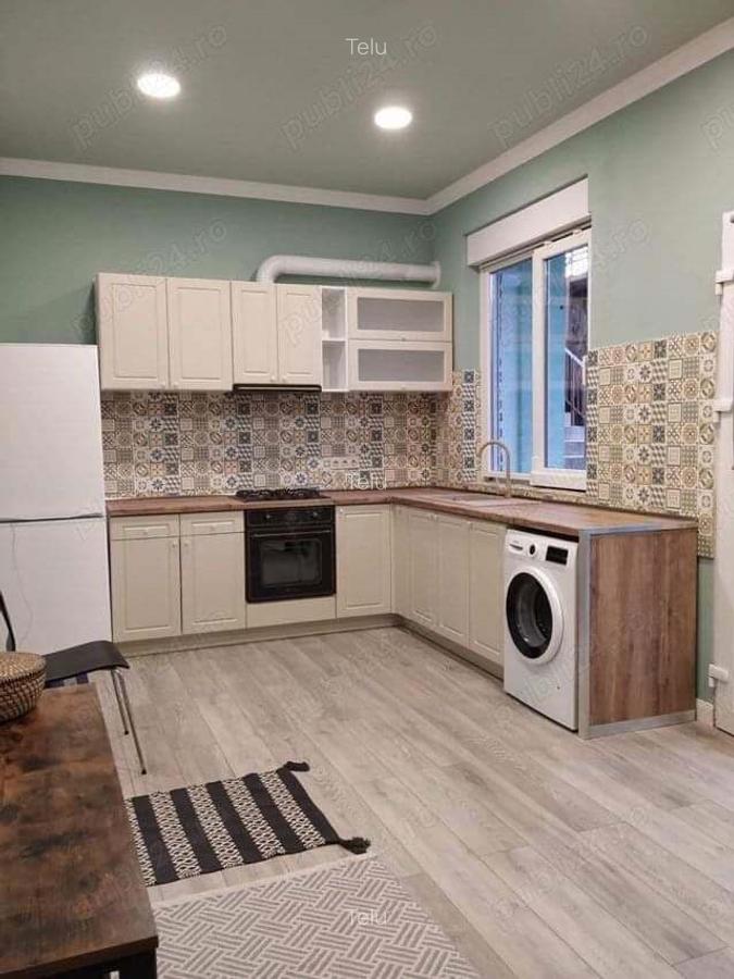 Case alaturate cu gradina, parcare ?i poten?ial comercial in Elisabetin - 6