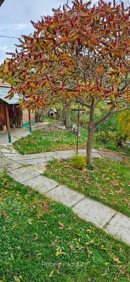 Casă +teren - 1 Casă +teren - 1