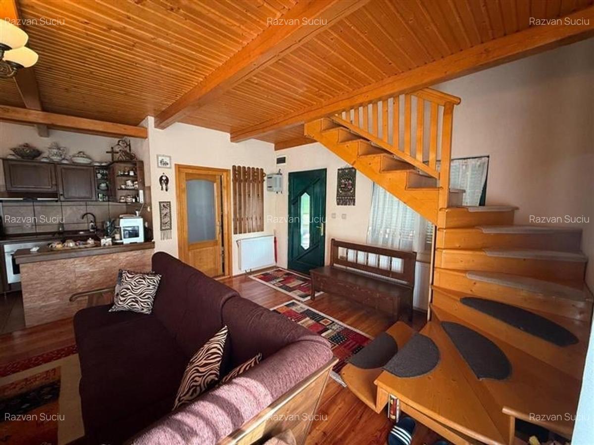 Cabana - Casa de vacanta situata in Muntele Rece! - 18