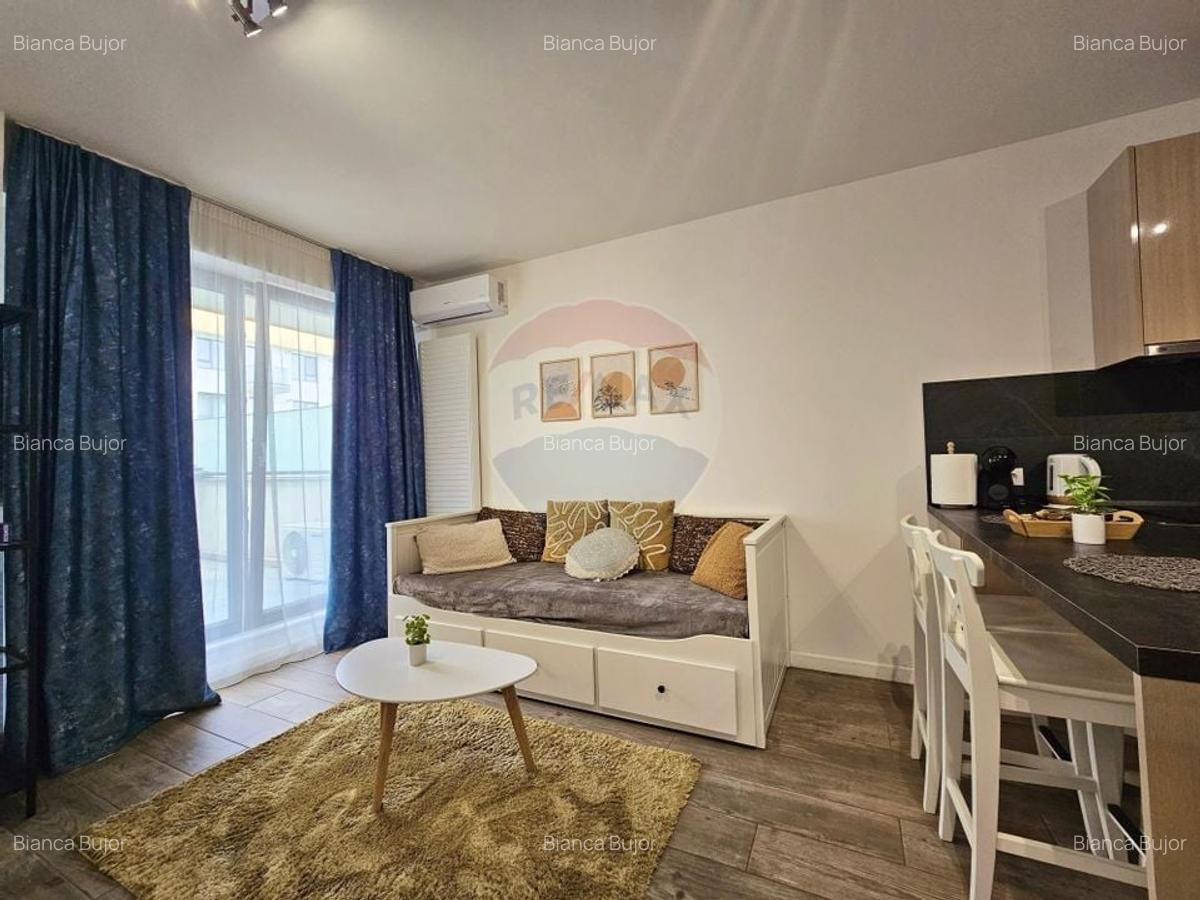 Apartament cu 2 camere si terasa - de inchiriat - zona Plopilor - 4