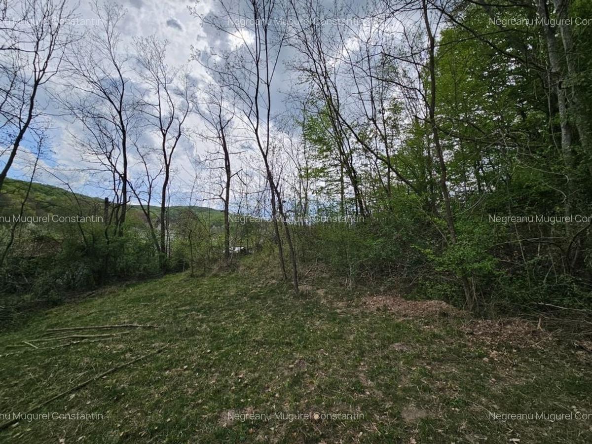 Teren intravilan 1454 mp la marginea padurii zona locuita de case! - 13