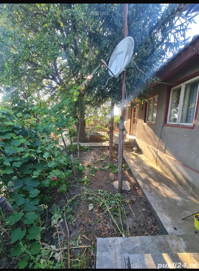 Casa batraneasca Ceamurila de jos - 5