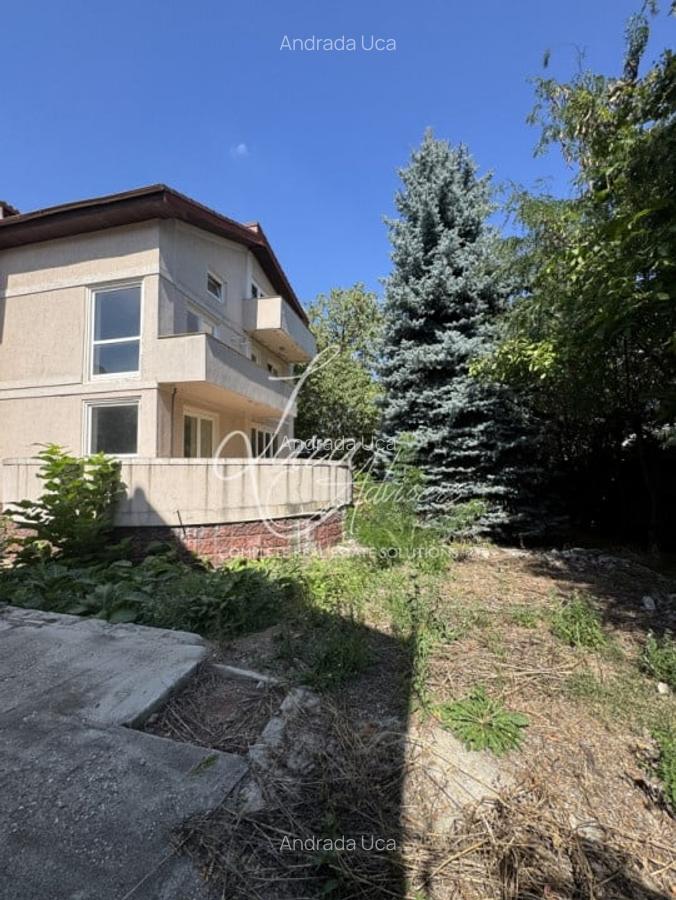 Vila versatila Iancu Nicolae - rezidenta, comercial sau clinica - 5