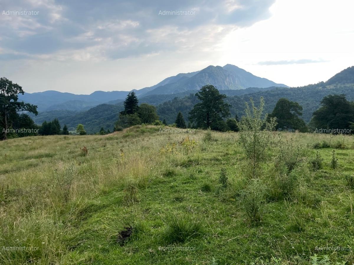 Teren investiție, 12750 mp în Pârâul Rece - 20
