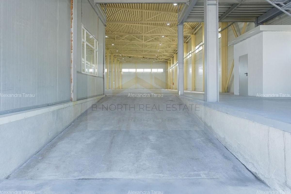 Hala industrială 2.000 mp • Depozitare / Producție • Rampe încărcare • Otopeni - 8