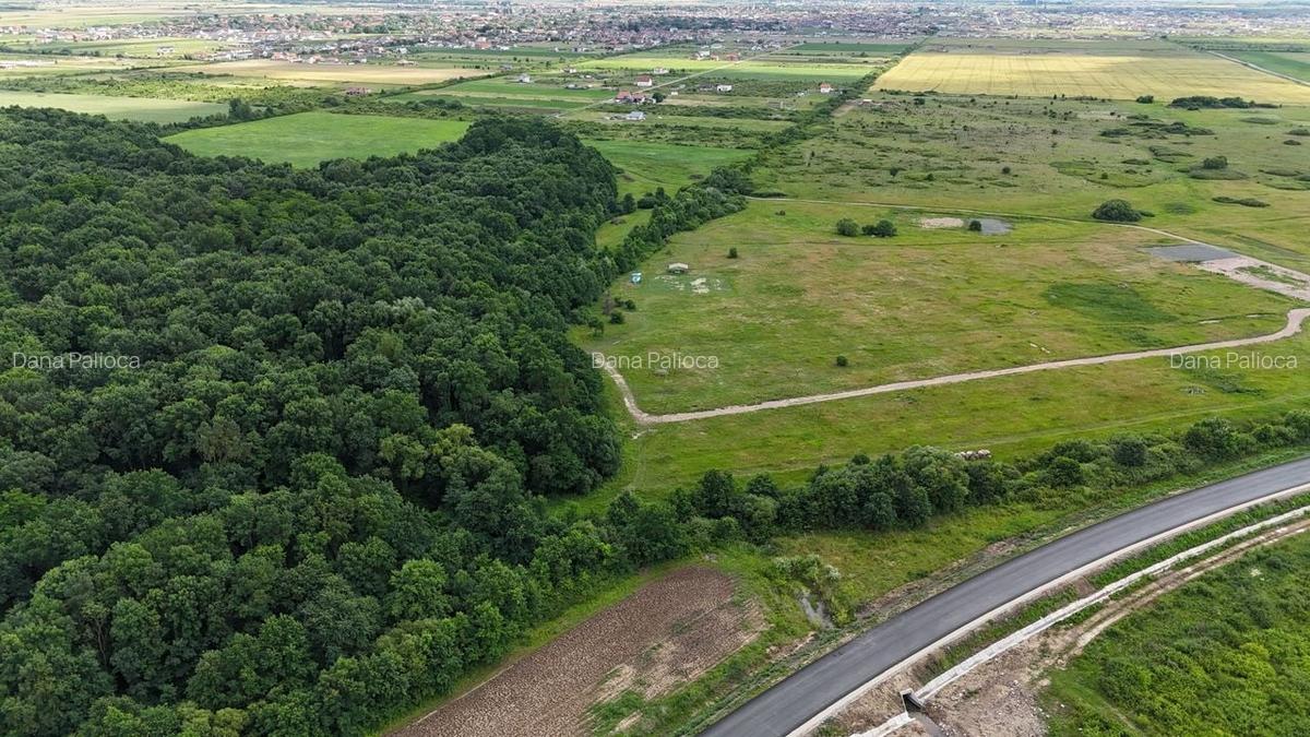 TERENURI PADUREA BISTRA - 3