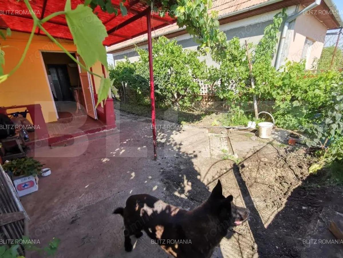 Casa renovabila, 2 camere, zona Cetate - 3
