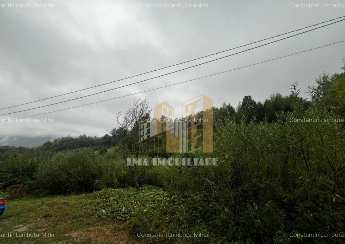 Teren intravilan Sinca Noua - 10