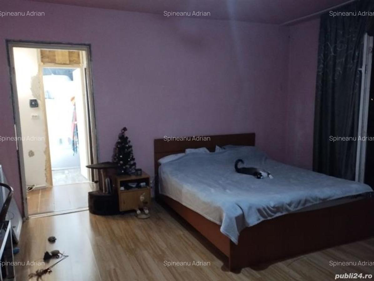 2 camere confort 1,  Sagului-Dambovita - 2
