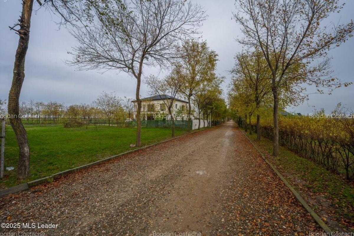 Teren intravilan de vanzare | Cartier rezidential deosebit | Afumati - 10