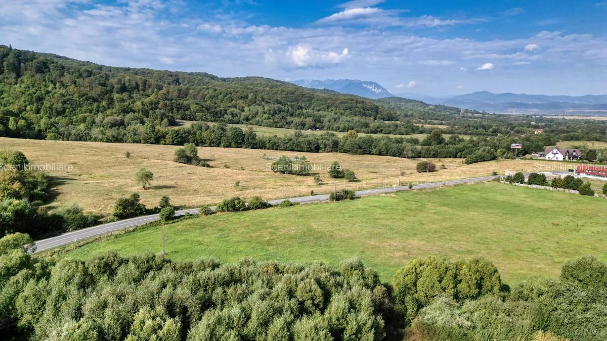 Cheile Rasnoavei DN73A, teren extravilan 3.000 mp, zona de vis, ideal investitie - 12