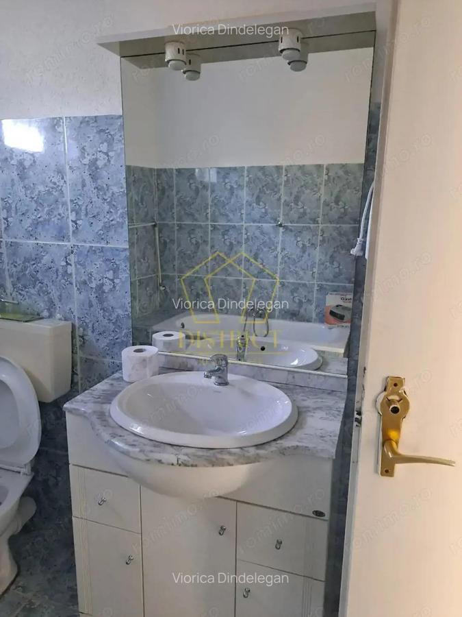Spatiu comercial util compartimentat I Lipovei - 8