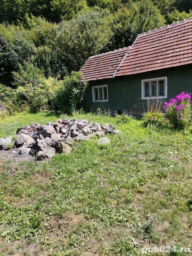 Vanzare casa si teren loca?ie de vis sta?iunea Moneasa - 3