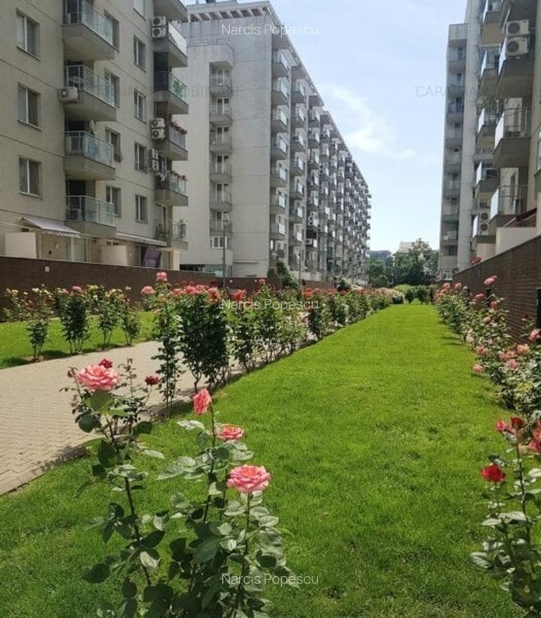 OBOR COLENTINA IN COMPLEXUL ROSEGARDEN - 1