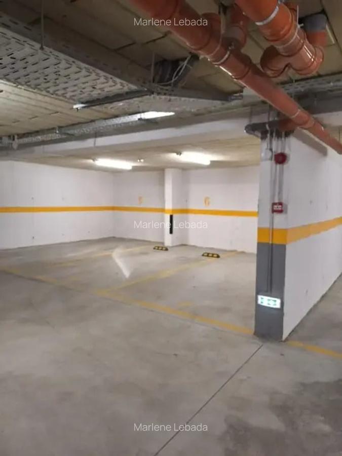 Apartament cu 4 camere, terasa si gradina, Unirii - 15