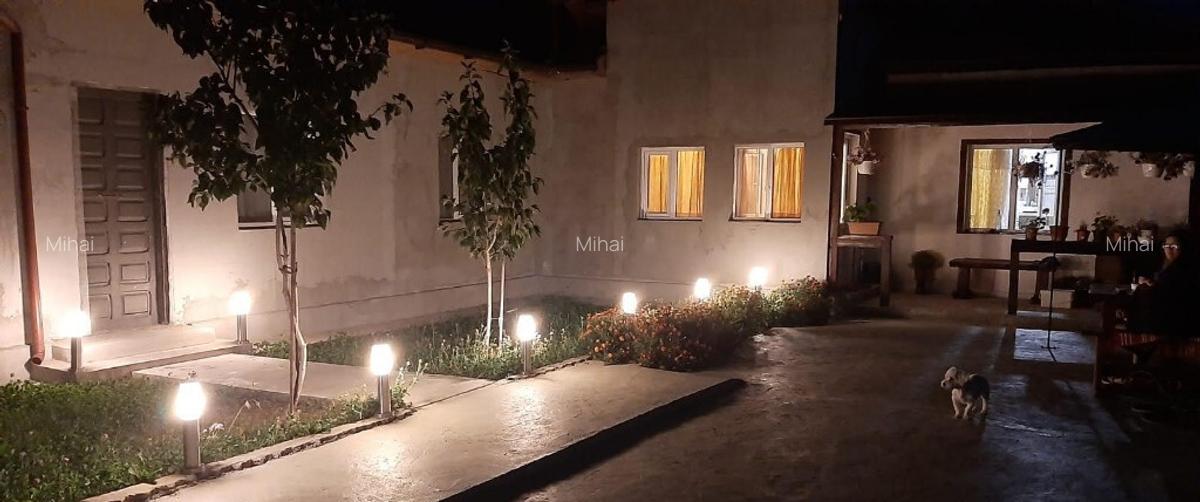 Casa cu teren aferent 1000 m2 - 17