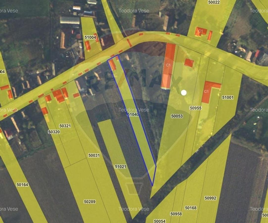 Casa de vanzare cu teren de 3000mp, sat Pagaia, Bihor - 4