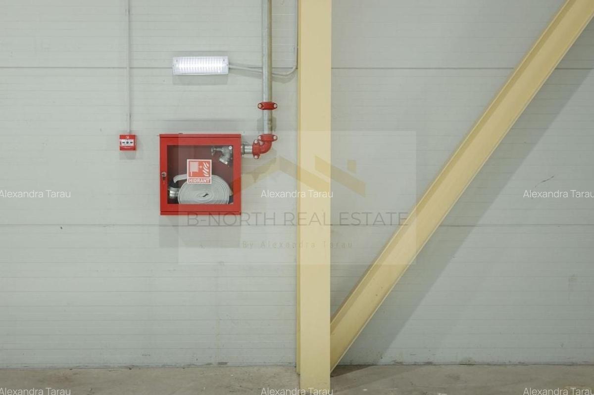 Hala industrială 2.000 mp • Depozitare / Producție • Rampe încărcare • Otopeni - 6