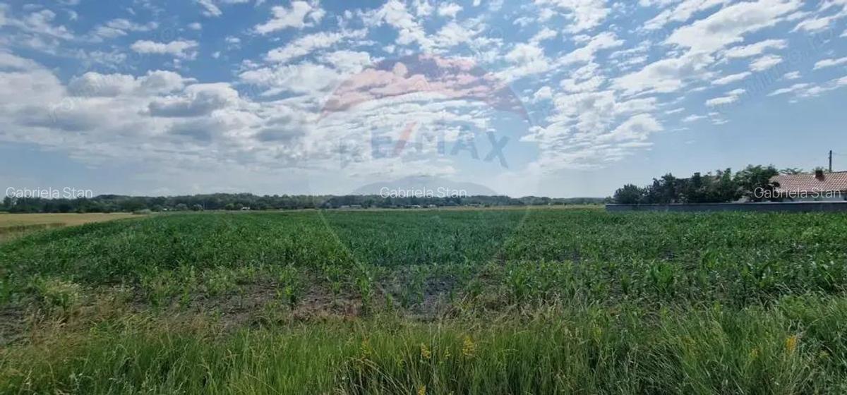 De vanzare teren 10.001 mp sat Oniscani, comuna Filipe?ti - 2