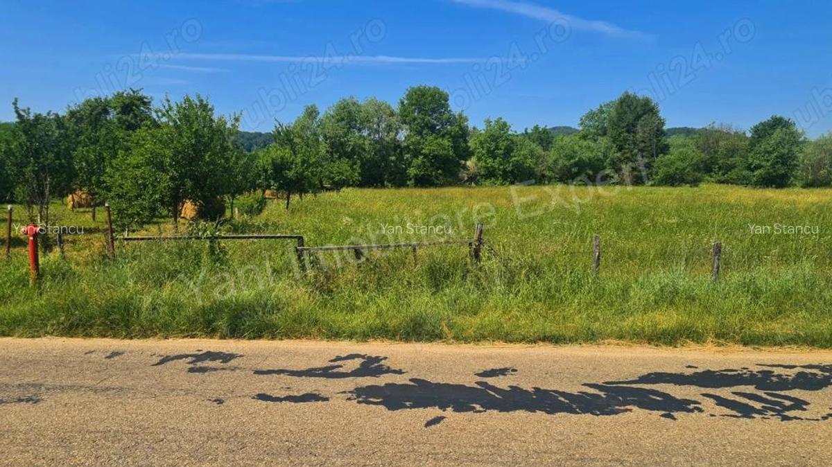 Teren de vanzare in comuna Domne?ti, jude? Arge?. - 6