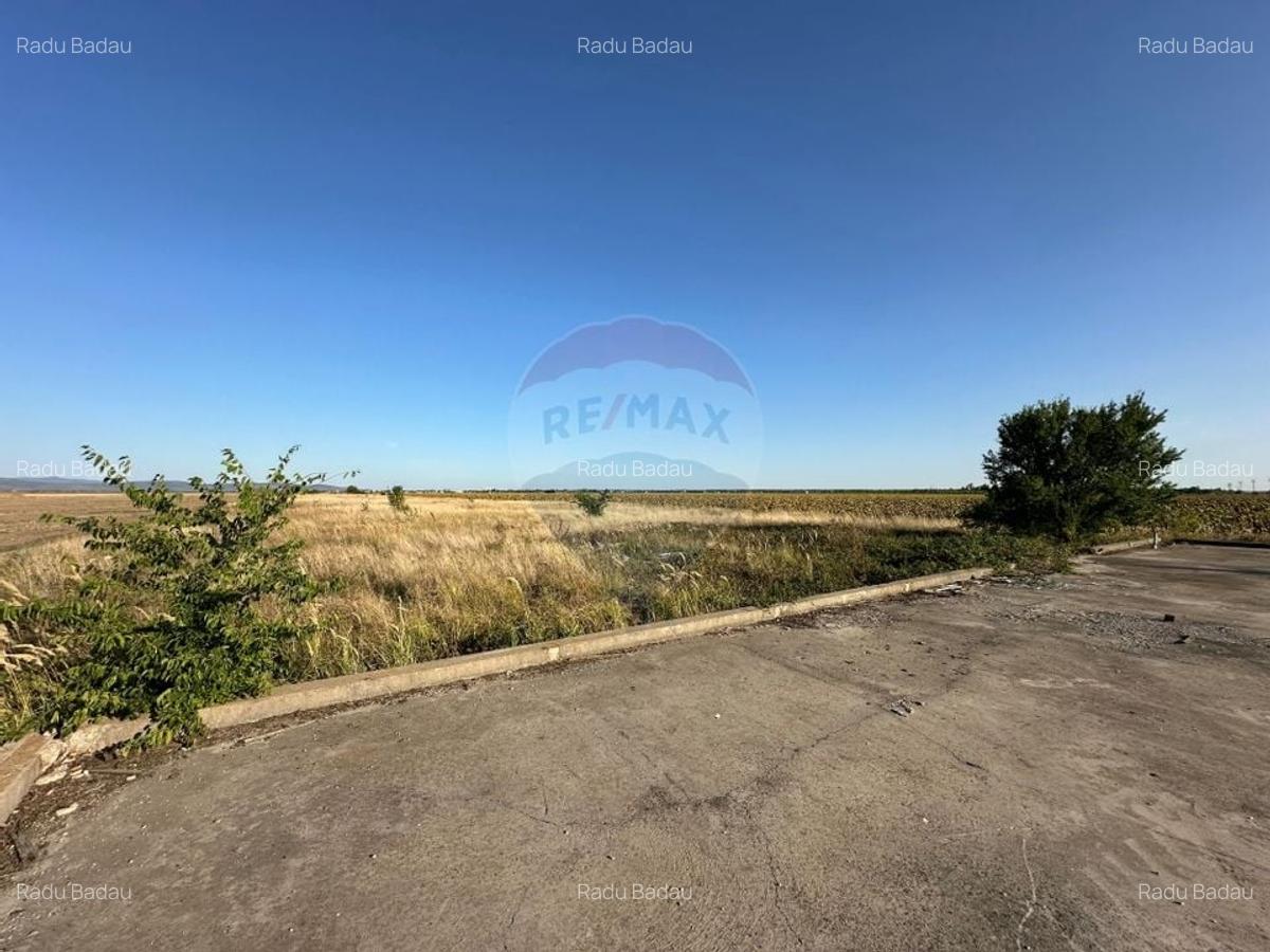 Teren extravilan de vanzare - 19.963 mp, E68 Mandruloc-Vladimirescu - 6