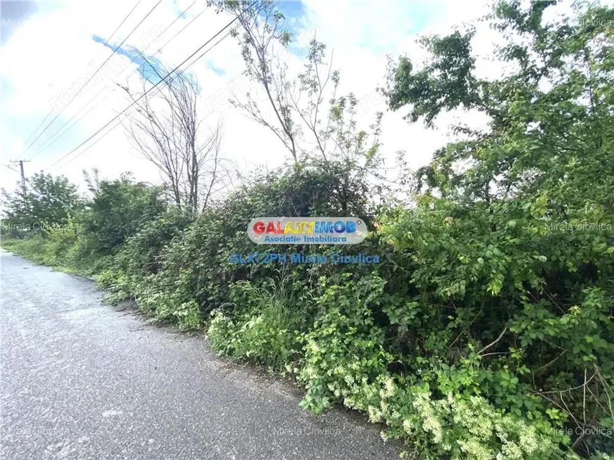 Vanzare teren intravilan Baicoi Prahova - 7