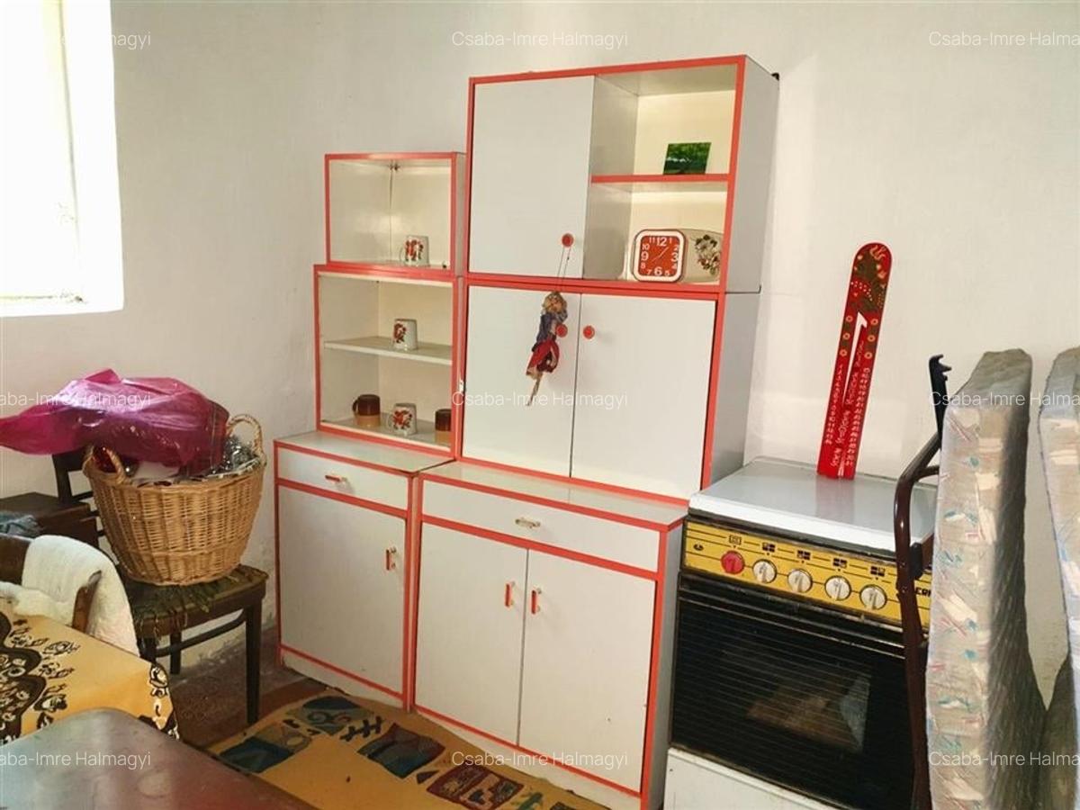 Casă individuală cu 2 camere în Ginta - 23