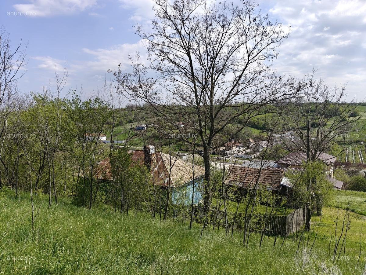 Dolj Casa cu teren generos (10.300 mp) in sat Ungureni - 9