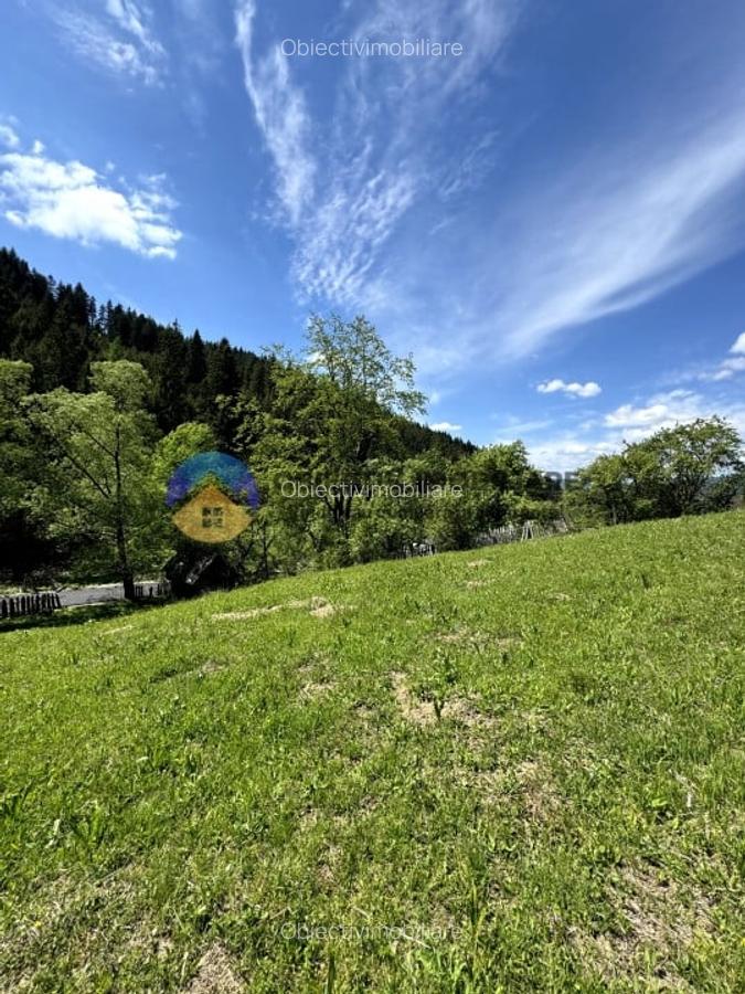 Teren 11557 mp comuna Ceahlau - 10