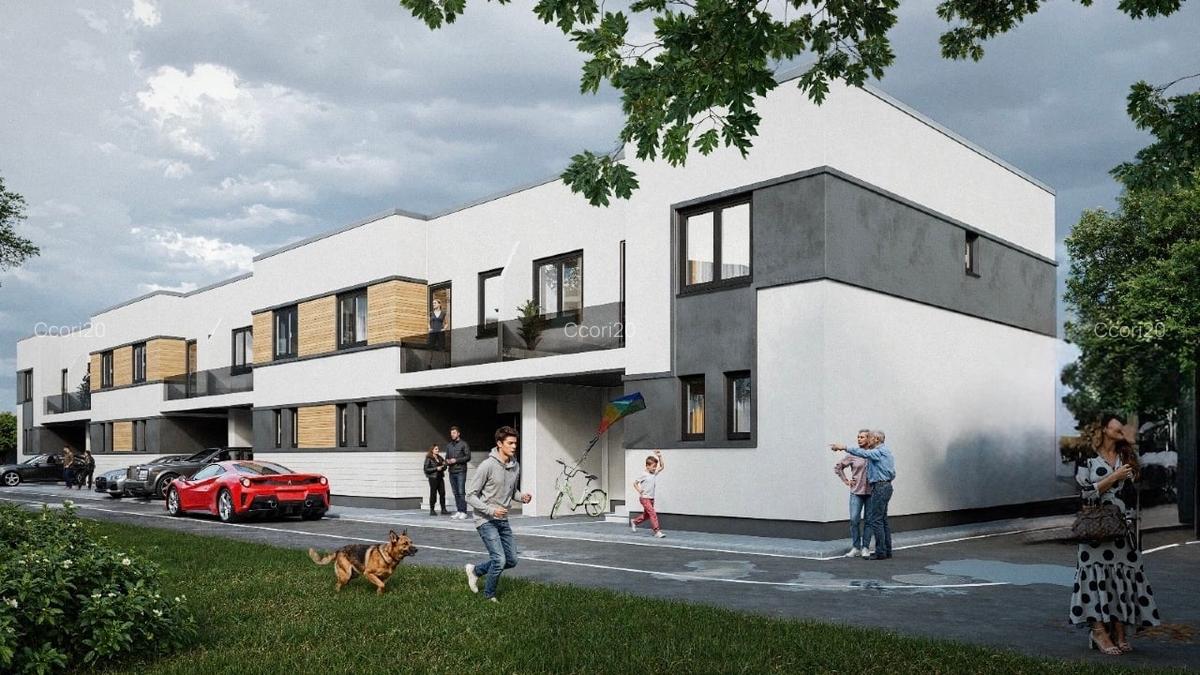 Vile insiruite Metrou Raul Doamnei - 3