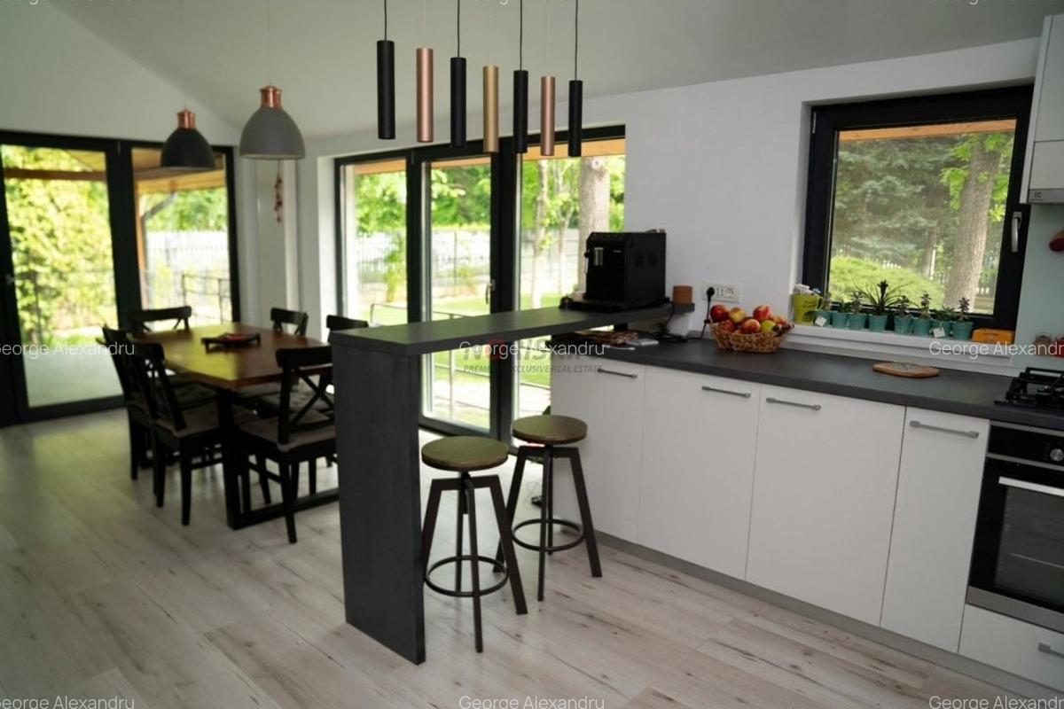 Vila 5 Camere Snagov - 11