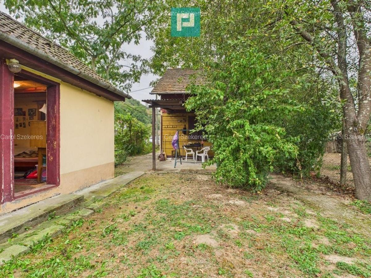 Casă de vacanță cu teren  în Lipova - 7