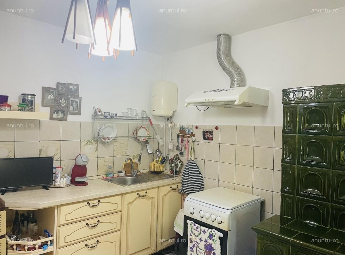Comuna Marzanesti, sat Valea Parului, str Lalelelor, Teleorman - 10