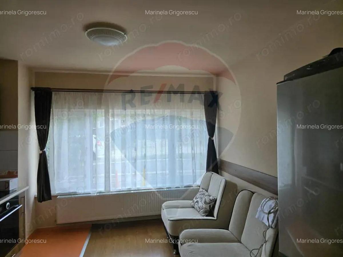 Casa / Vila cu 7 camere de vanzare - 6