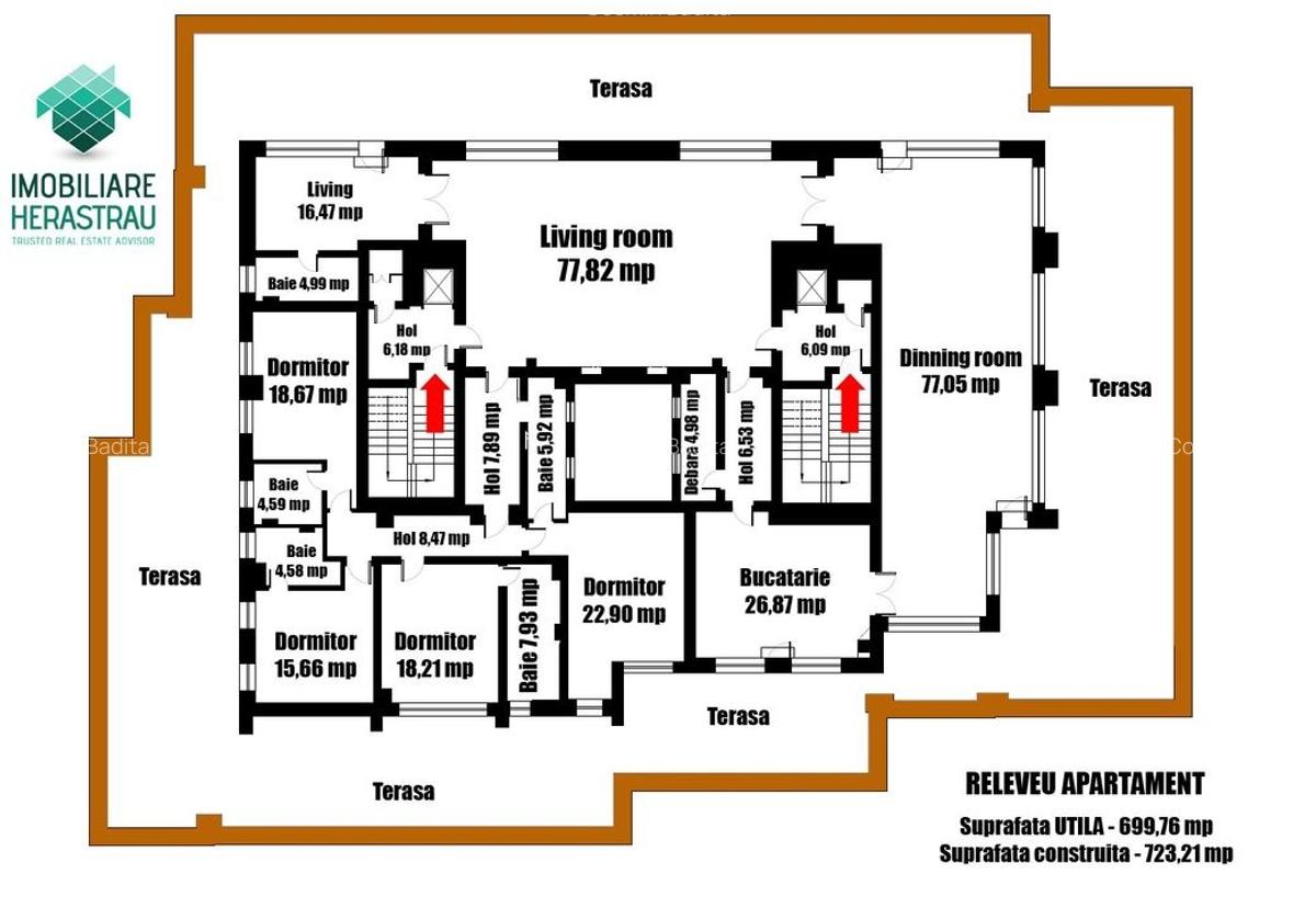 Caserta Palace Residence -For renting 7 rooms penthouse, Herastrau Park, UNIQUE! - 15