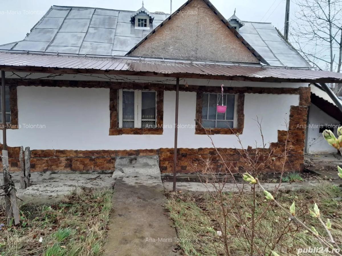 Casa batranesca de vanzare - 3