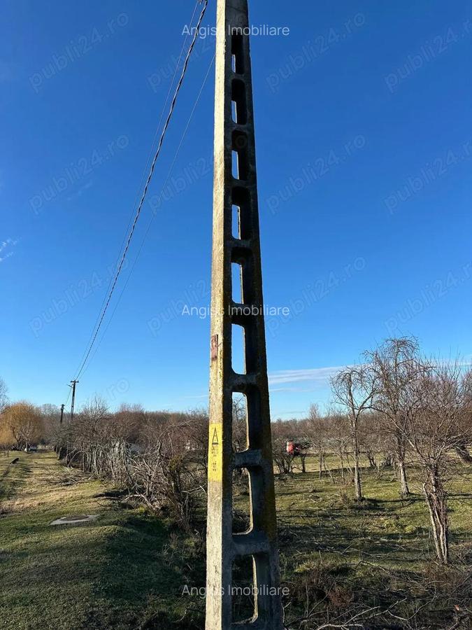 Teren intravilan in Delta -loc BALTENII DE JOS - 16