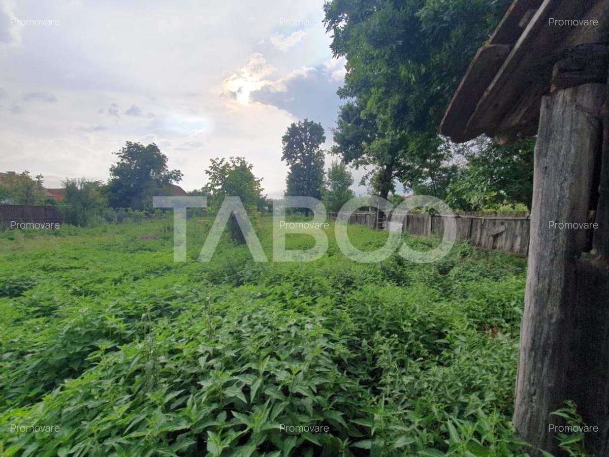 Casa de vanzare in Mandra 140 mp utili curte sura anexe 3 beciuri - 8