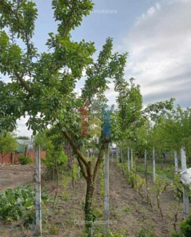 900 mp intravilan Chiscani deschidere 50m la sosea - 4